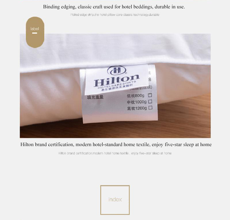 Hotel Pillows Hilton Queen