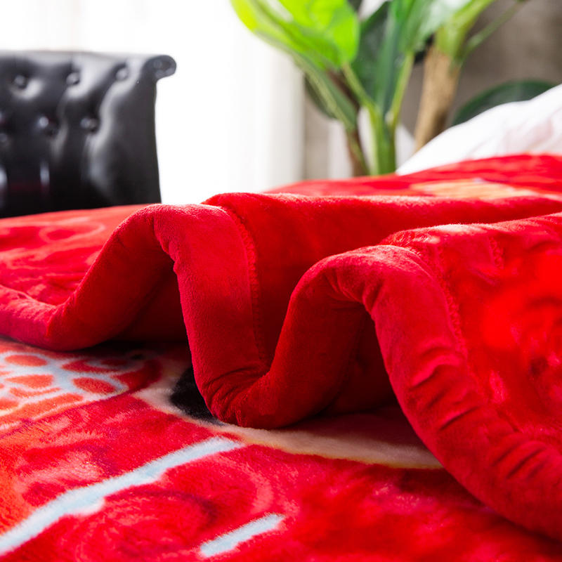 Home Decoration Ultra-soft Fleece Blanket