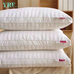 المهنية جامعة صغيرة الوسائد