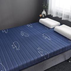 وسادة النوم المحمولة عنبر