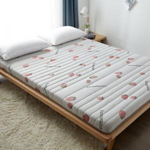 University Dorm Roll Foldable Sleeping Pad