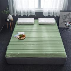 Worker Thick 10cm Mattress Pad