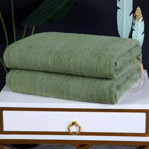 Ireland Land Forceanti-bacterial Pillow